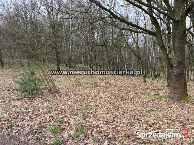 Sprzedam działka 10182m2 Wodzisław Śląski 10182m2 sprzedam