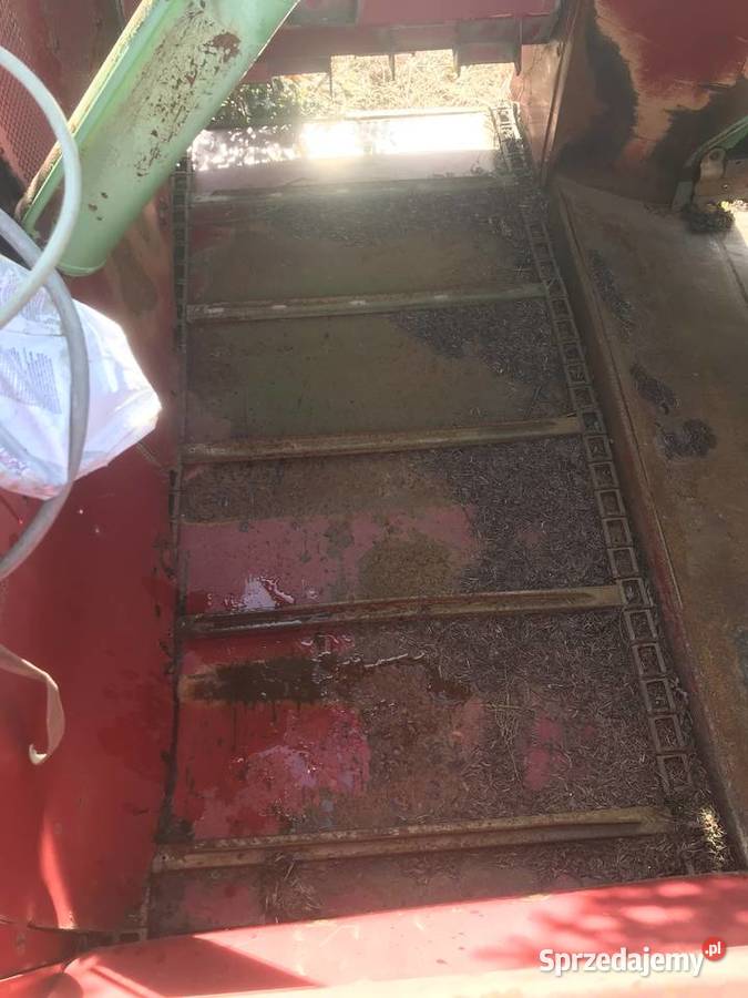 Wycinak Strautmmann Pawłów