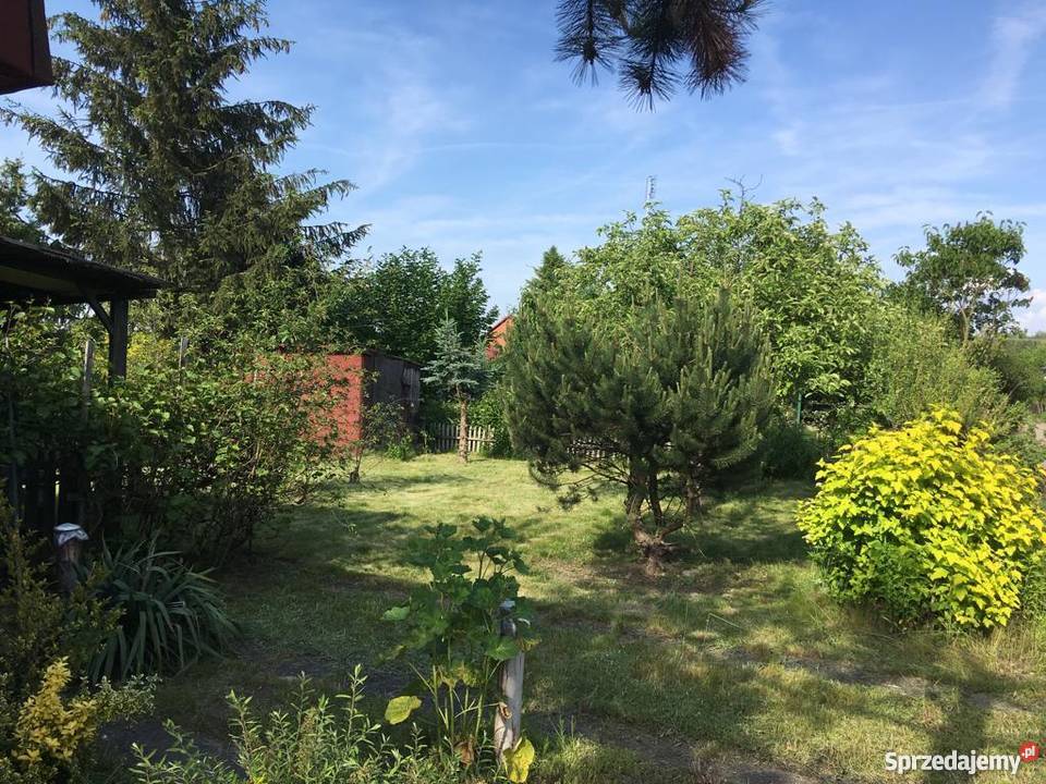 Działka rekreacyjna ROD Sierosław IV