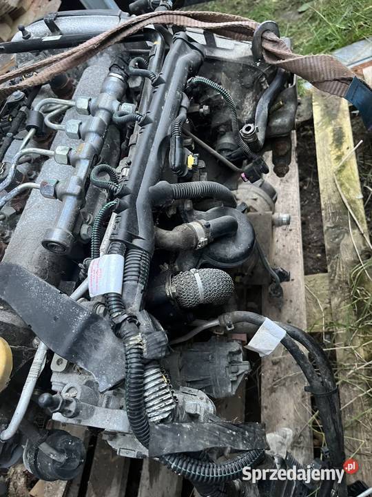 Silnik Fiat Freemont 170 koni Pozostałe Turek