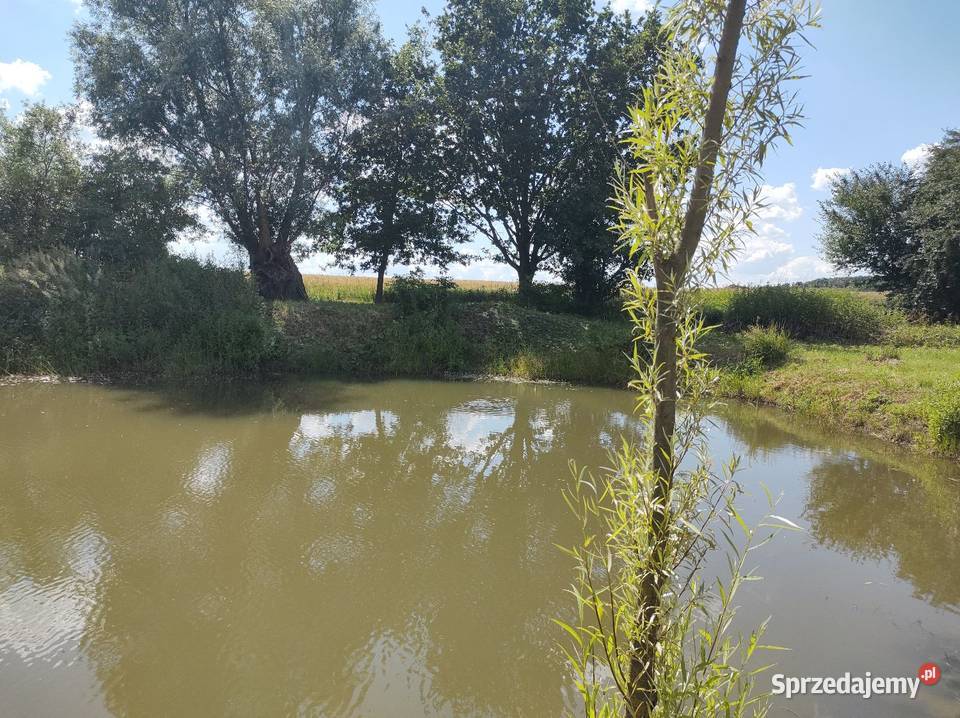 Sprzedam dom działkę Sokoligora szambo