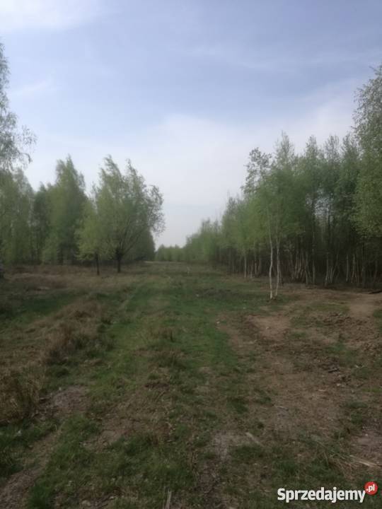 Sprzeda działkę budowlaną w Cygance z WZ Grunty i działki Cyganka
