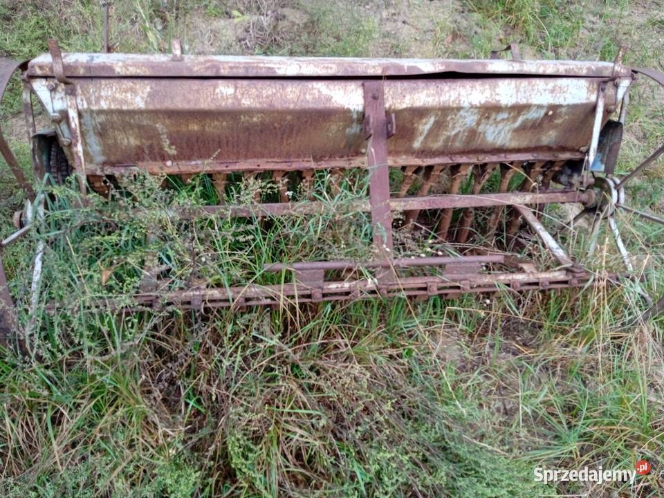 Jakiś siewnik kujawsko-pomorskie Niewierz