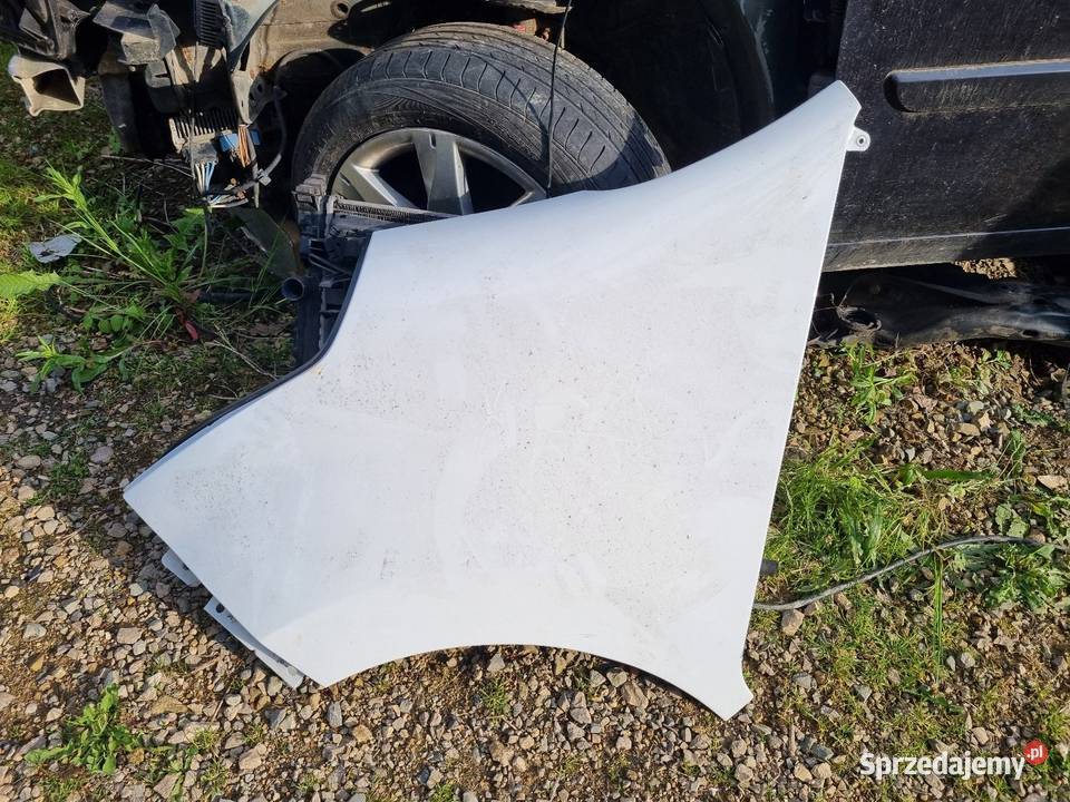 Renault Master III 3 Opel Movano B Błotnik Lewy