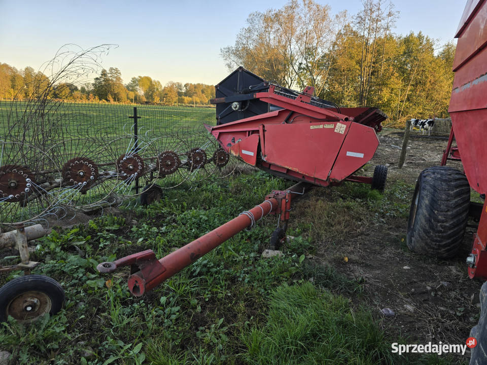 Kombajn zbożowy MASSEY FERGUSON 38 sieczkarnia nieuszkodzony Baliki