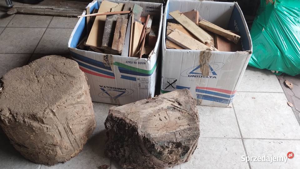 drewno opałowe kominkowe drzewo pienki Poznań