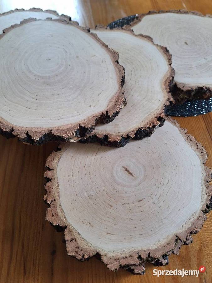 Plastry drewnabrzoza szlif obustronny Strzyżów