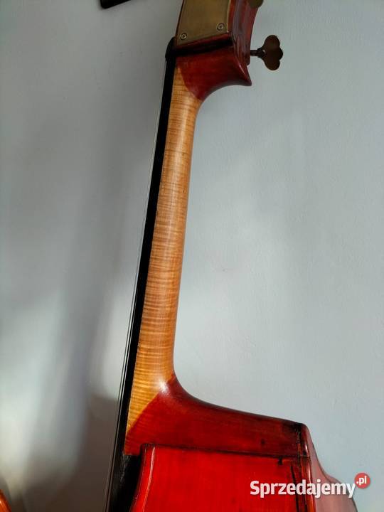 Kontrabas 34 Muzima z Filharmonii Lwowskiej kontrabasy Instrumenty smyczkowe Jędrzejów sprzedam