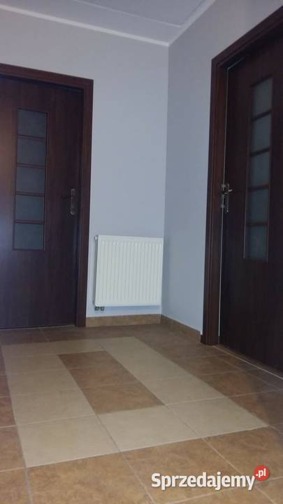 Sprzedam Dom lasu na wsi wolnostojący pomorskie Prabuty