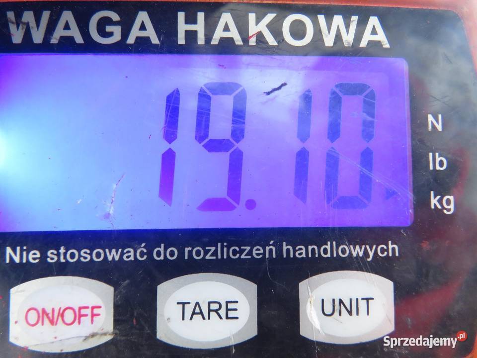 SANKI PRZÓD OPEL AGILA B H08 13 CDTI Z 13 DTJ Belki zawieszenia