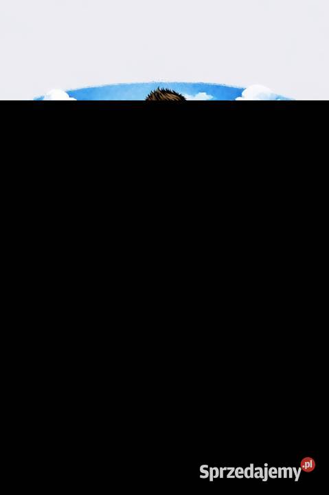 Opróżnienia mieszkań piwnic garaży Rozbiórki i wyburzenia Grybów