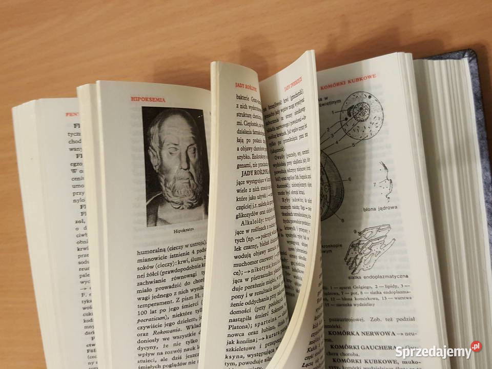 MAŁA ENCYKLOPEDIA MEDYCYNY 2 tomy Tadeusz wielkopolskie Złotniki