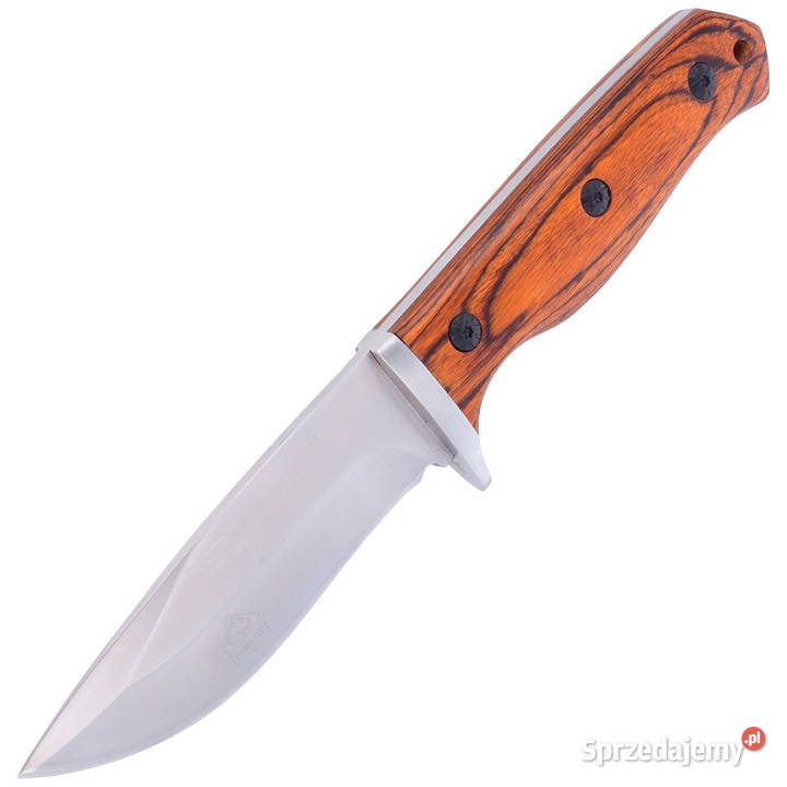 Nóż myśliwski Puma Solingen Pakka Wood Satin Warszawa