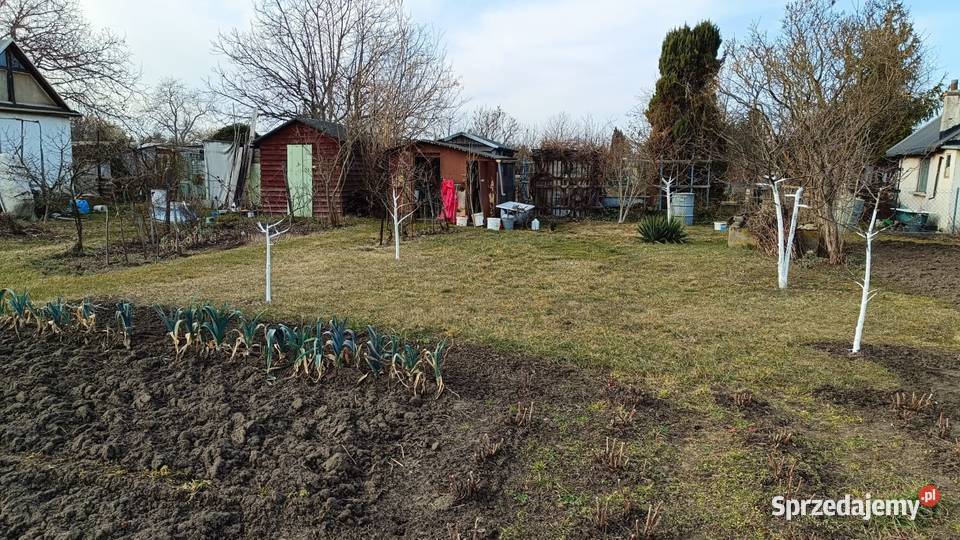Radość działka odstąpie Sprzedaż