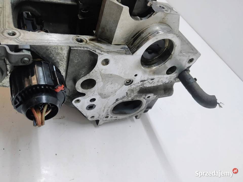GŁOWICA KOMPLETNA 038103373R 19 TDI VW Rok produkcji 2004