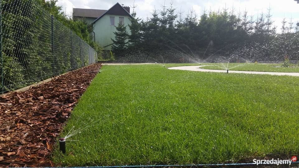 Projektowanie ogrodów zakładanie pielęgnacja Człuchów