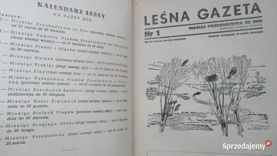 Leśna Gazeta WBianki1953edukacja łódzkie Łódź