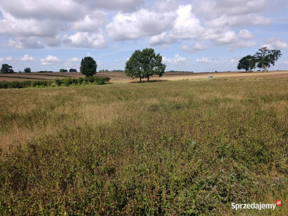 Działka z potencjałem inwestycyjnym 8800m2 lubelskie Płouszowice