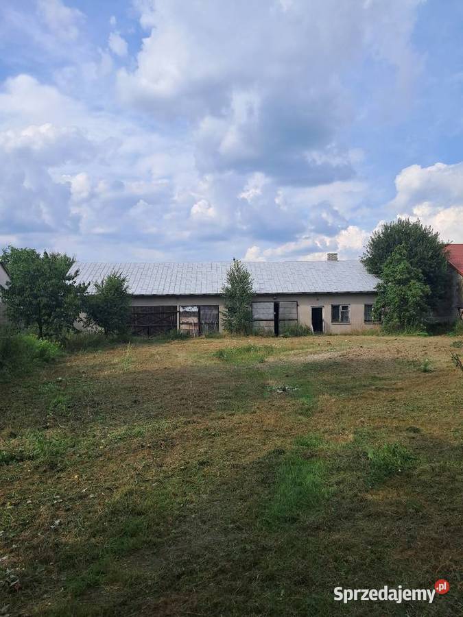 Siedlisko 06h 100 Wawa S17 Więcków