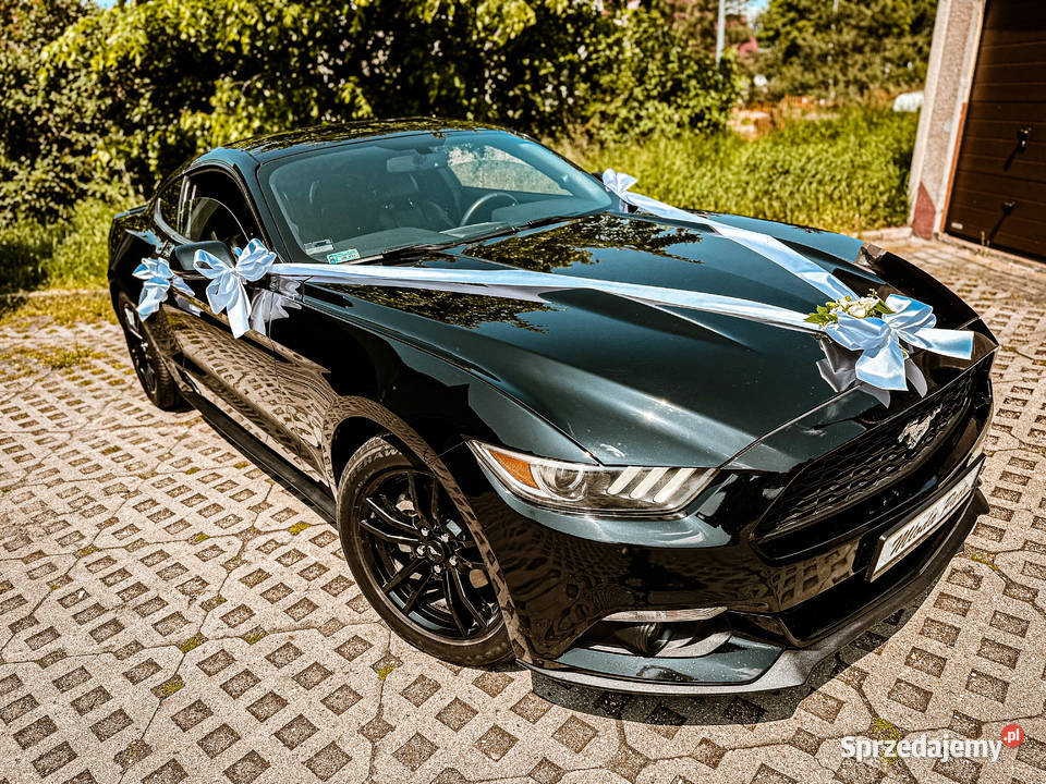 Auto Sportowy do Ślubu na wesele MUSTANG Premium Jelenia Góra