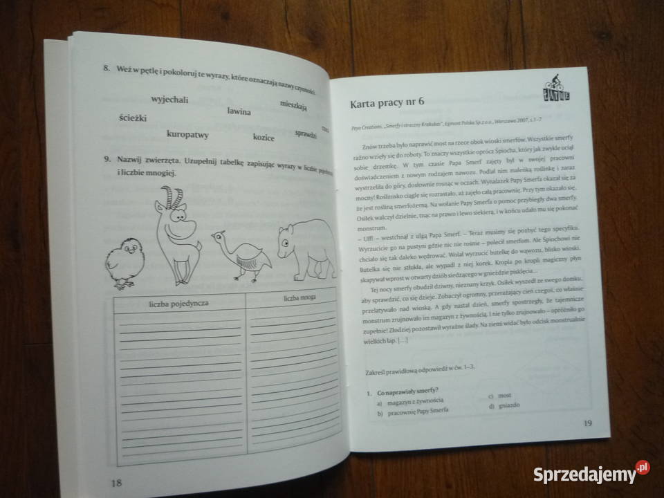 Rozumiem co czytam Karty pracy Klasa 1 2 i 3 Szczecin