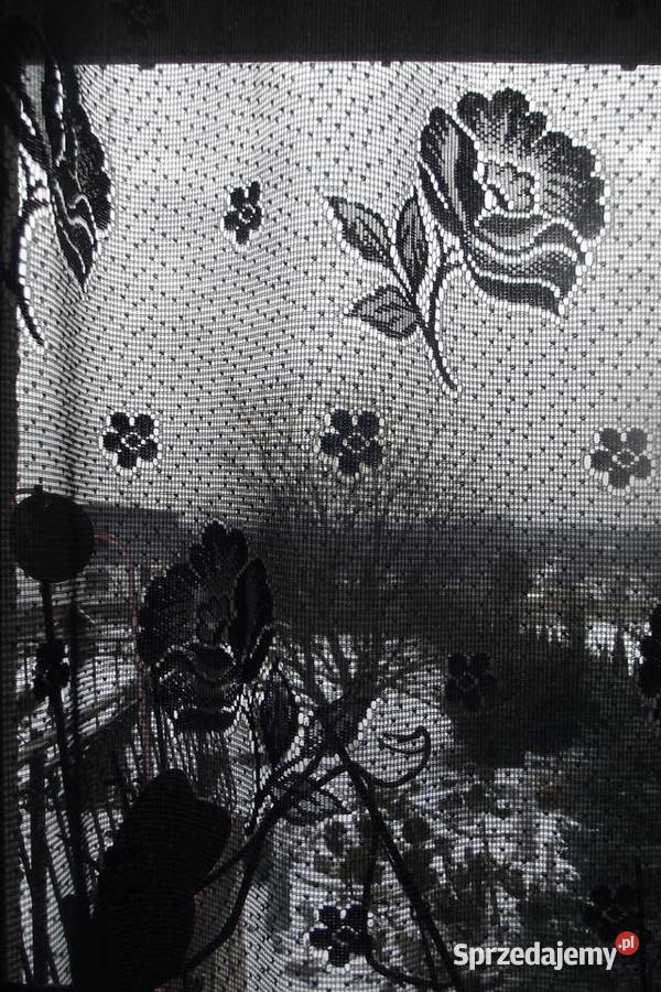 Mała firanka granat 110165 Wystrój okien Piekary Śląskie