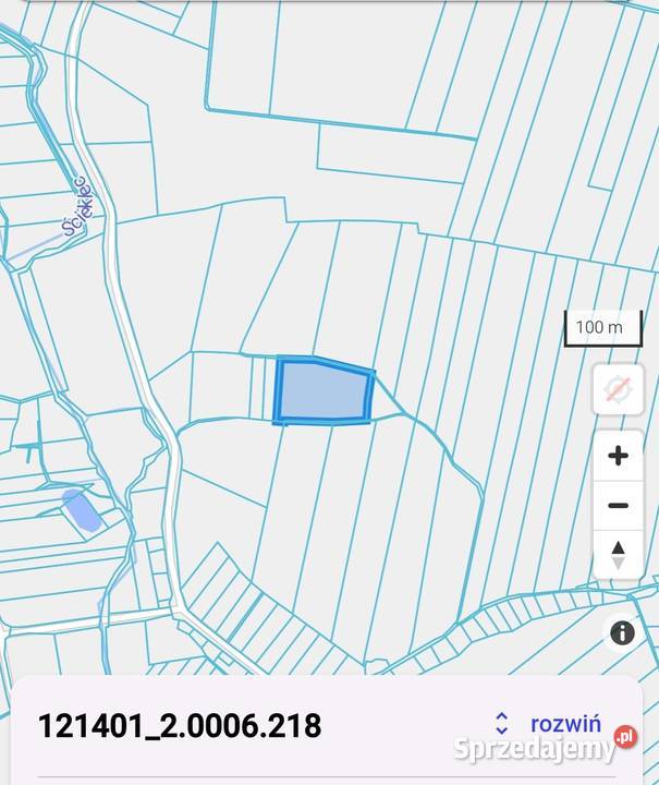Sprzedam działkę rolną Sprzedaż małopolskie Przemęczany