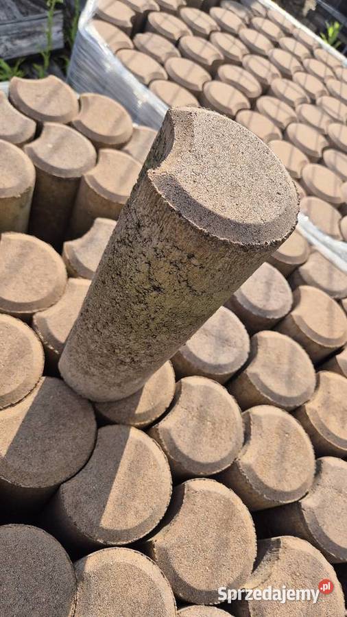 Palisada księżycowa wyprzedaż podlaskie Hryniewicze