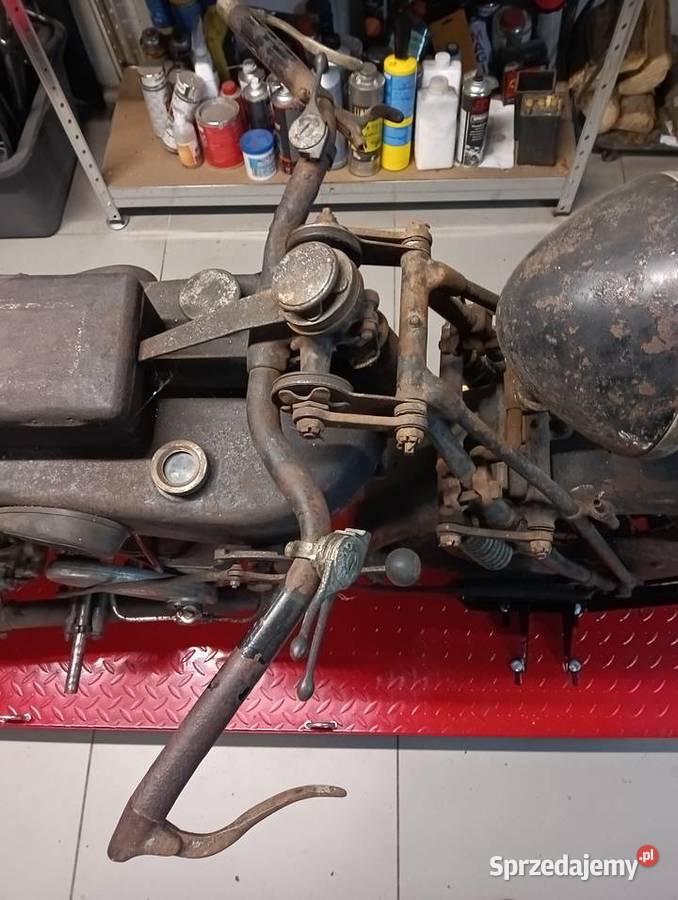 Sprzedam terrot h Gostycyn