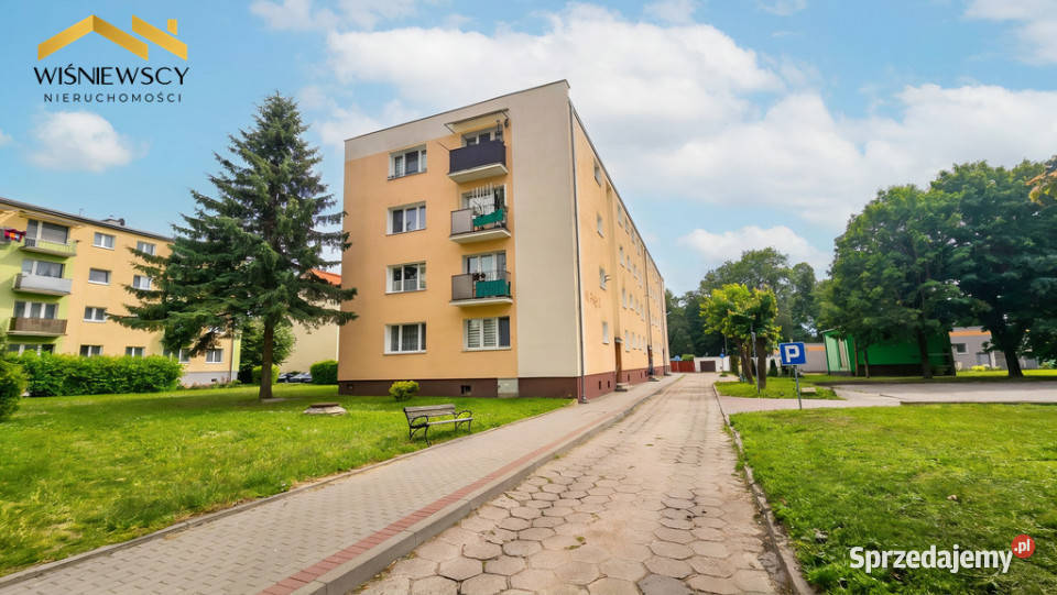 Kawalerka 2534 m z osobną kuchnią Liczba pokoi 1 pomorskie Nowy Dwór Gdański