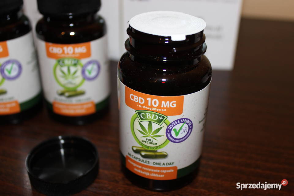 Jacob Hooy CBD 10mg Łódź