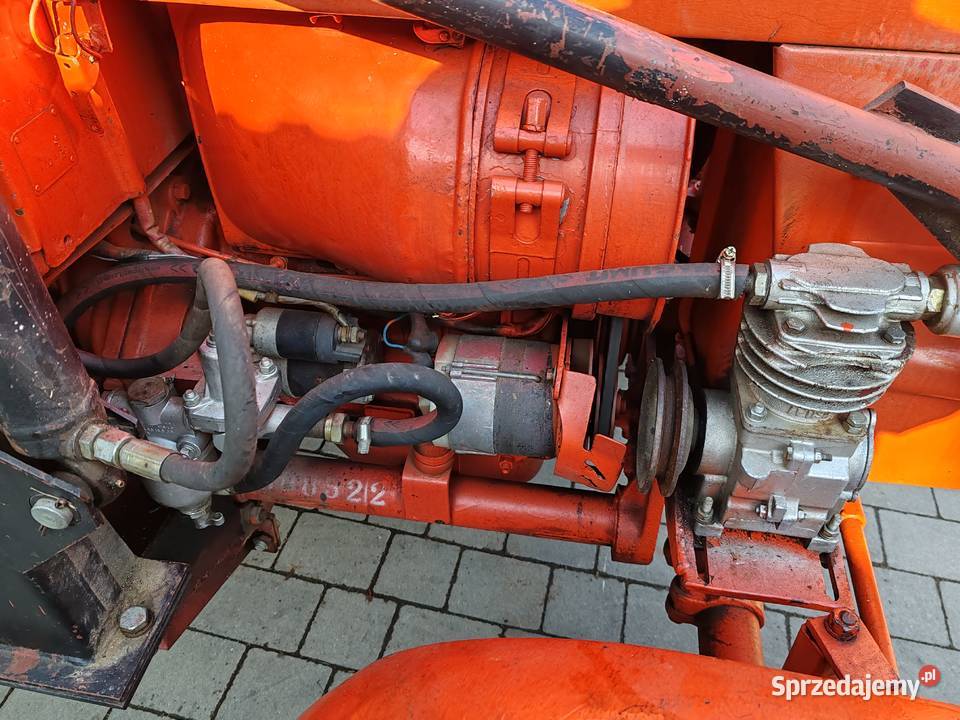 WładimirecWladimirec T25 A2 z ładowaczem Grybów