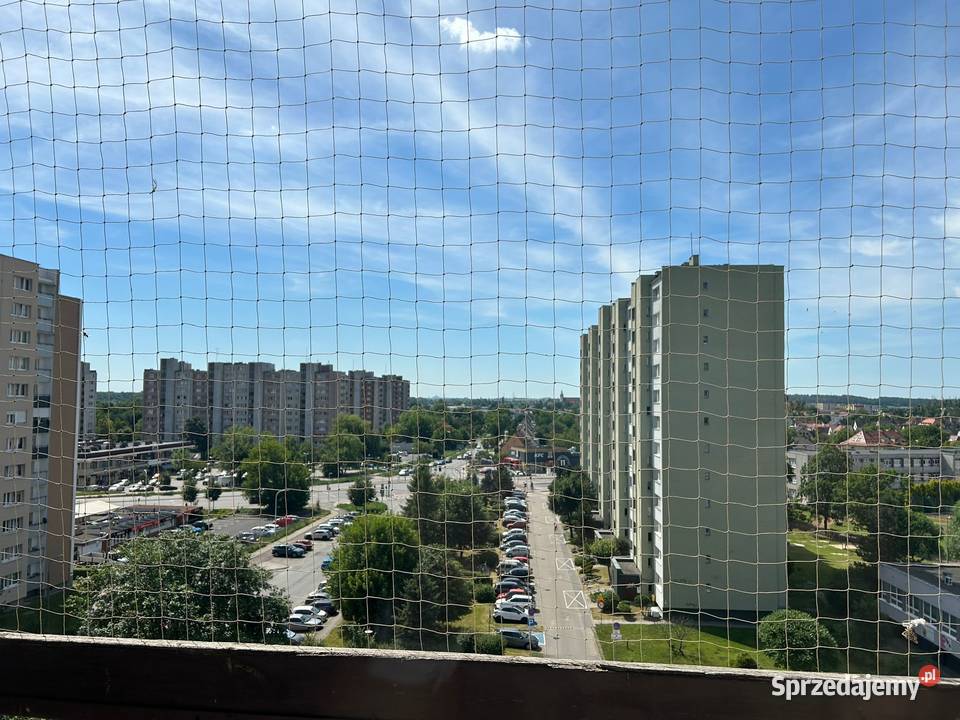 Do wynajęcia kawalerka Koszyka Opole sprzedam