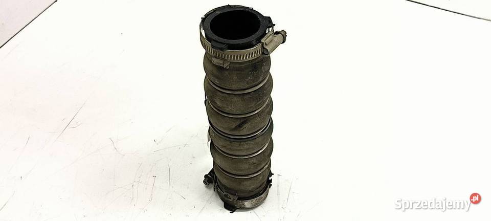 PRZEWÓD RURA DOLOT AUDI A8 D3 kujawsko-pomorskie Lipno