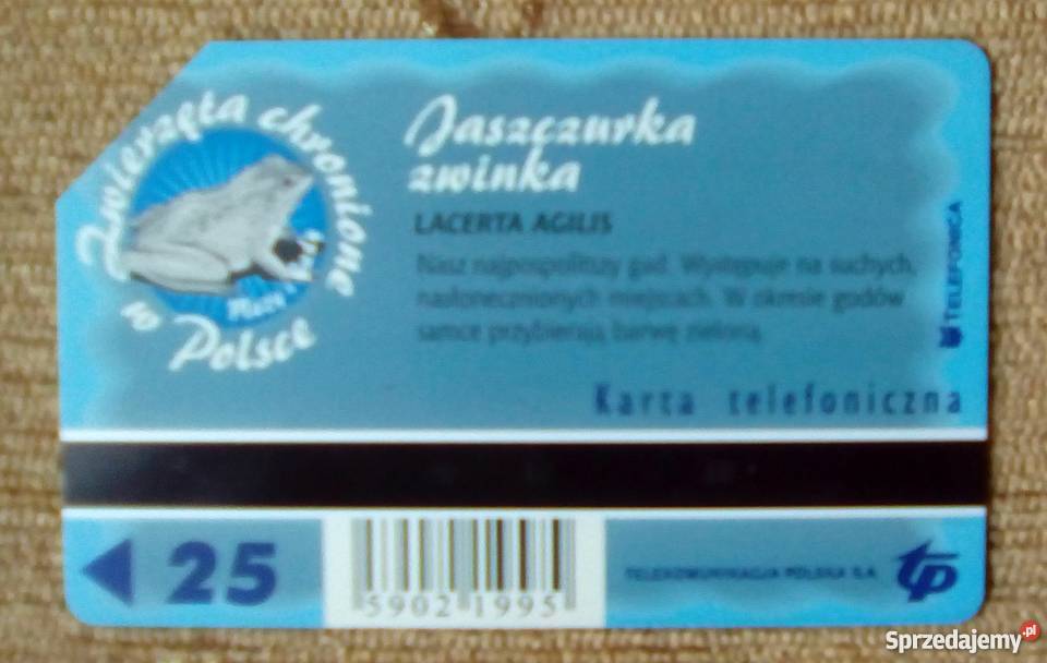 JASZCZURKA ZWINKA lubelskie Piszczac