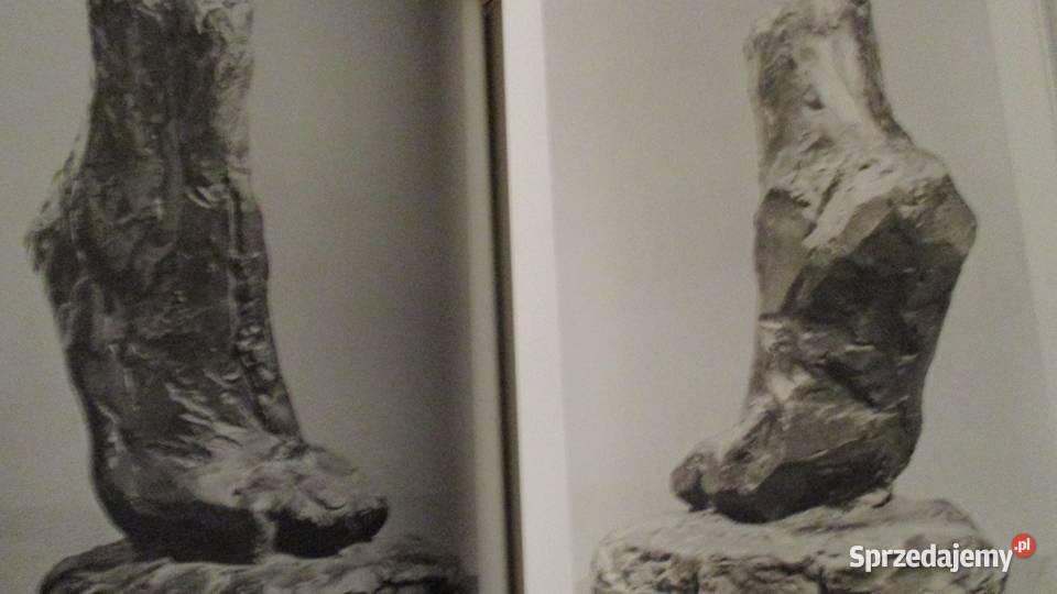 Henry Matisse album malarstwo Matisse Picasso łódzkie sprzedam