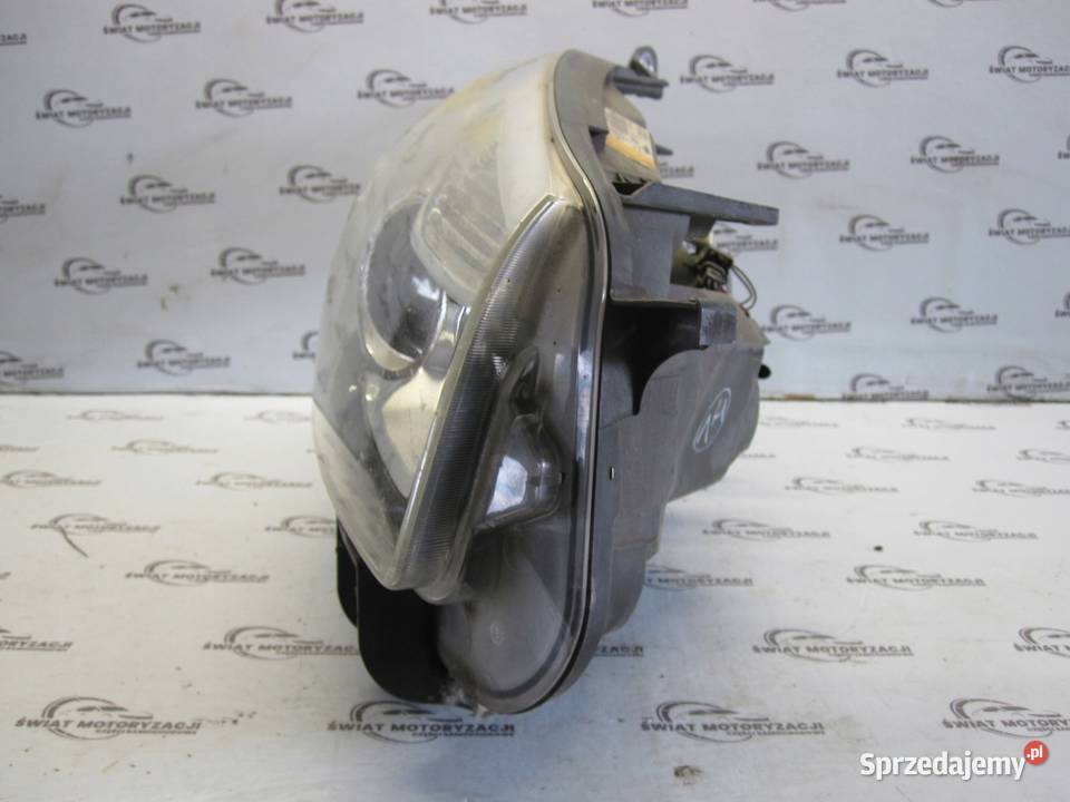 QASHQAI I J10 10r lampa prawa przód 26010BR01A osobowe Kielce sprzedam