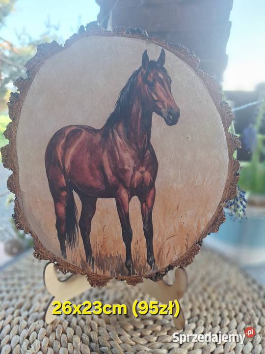 Obraz na drewnie Strzyżów