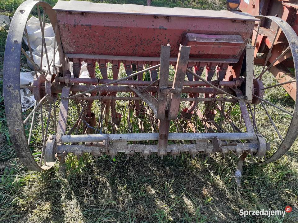 Siewnik zbożowy 15 świętokrzyskie