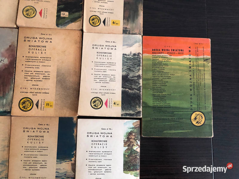 13 tygrysów podkarpackie Krosno