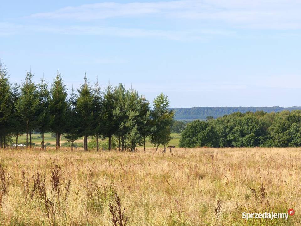 Z dala spojrzeń sąsiadów Chocielewko