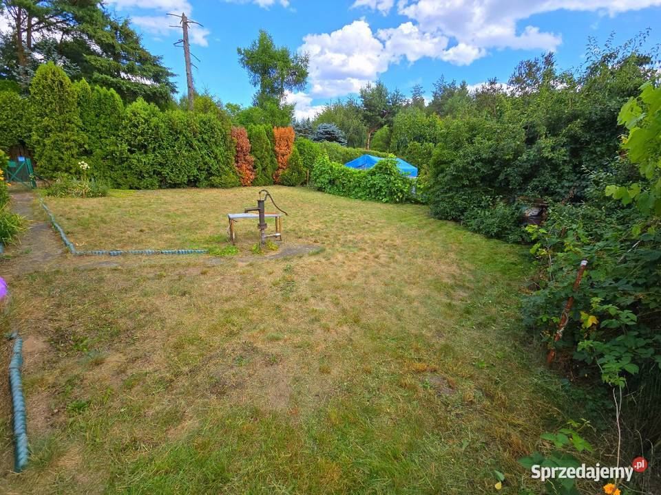 Działka ROD 300 m2 z domkiem Przypki k Tarczyna 217zł/m2