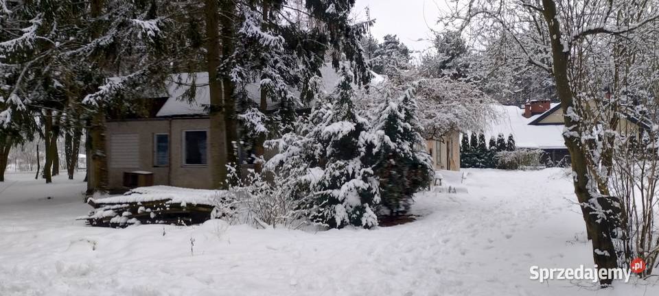 Żółwin działka budowlana 2500m2 z domem w gruntu budowlana mazowieckie