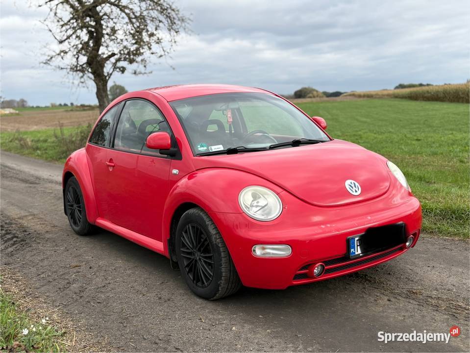 Volkswagen Beetle Śrem