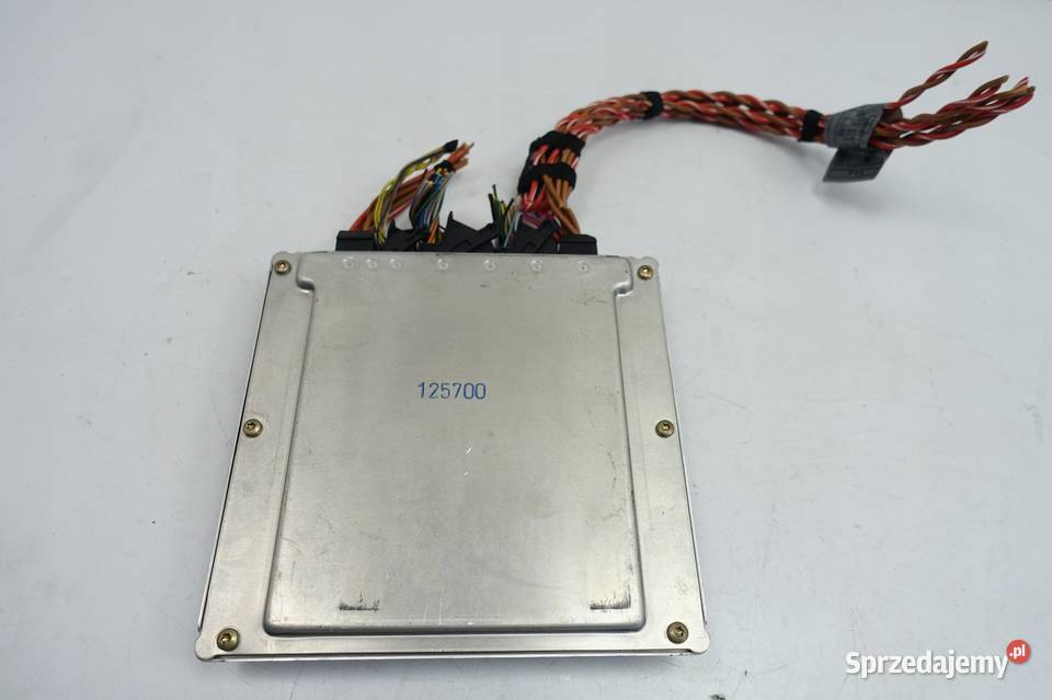 BMW X5 E53 30 D KOMPUTER SILNIKA sterownik MODUŁ Rudka