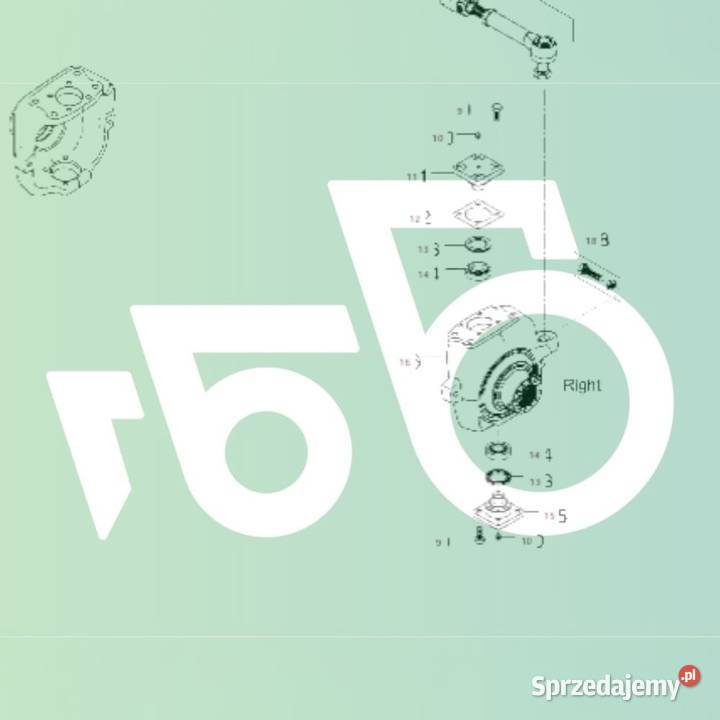 Zwolnica Zwrotnica Półoś Piasta Dana 7500604961 Pozostałe wielkopolskie Wilkowo