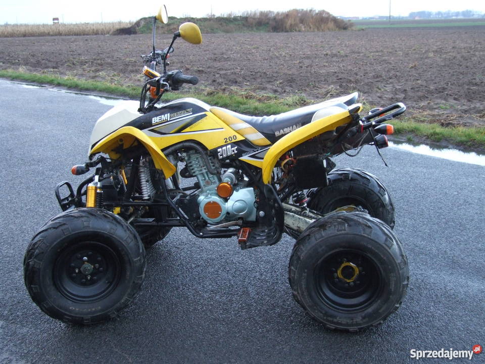 quad bashan 200 Ilno