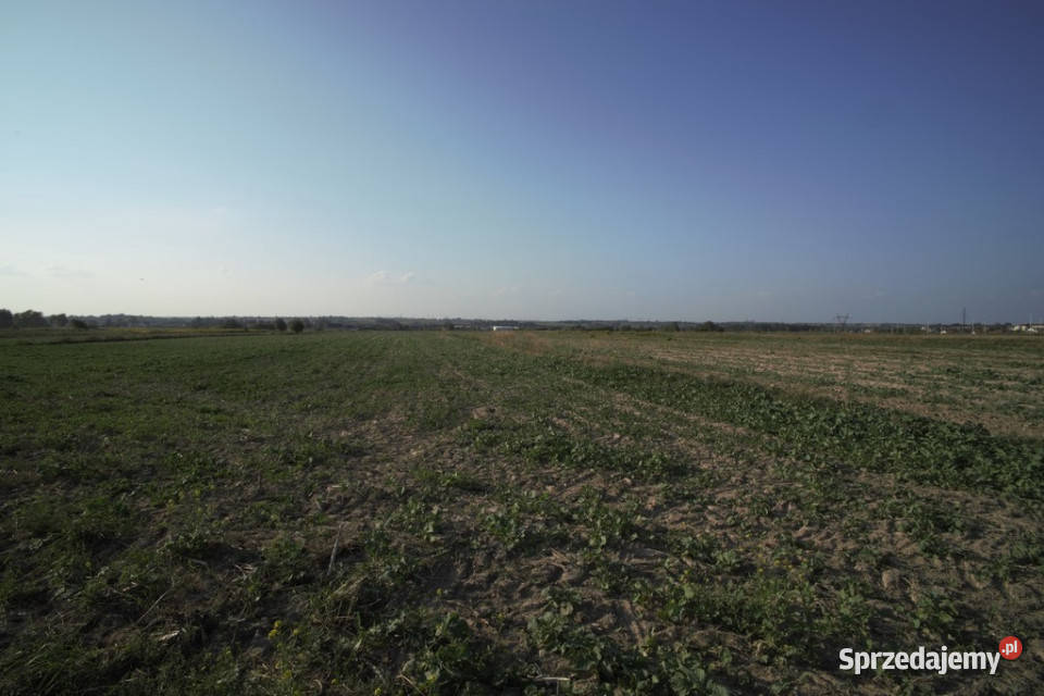 Działka Lublin Długie 90 ar budowlanarolna budowlana Sprzedaż sprzedam