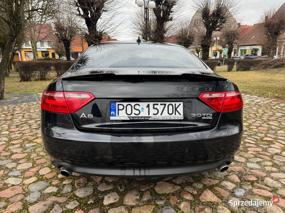 Audi A5 8T coupe 30 TDi quattro 2009r Ostrów Wielkopolski