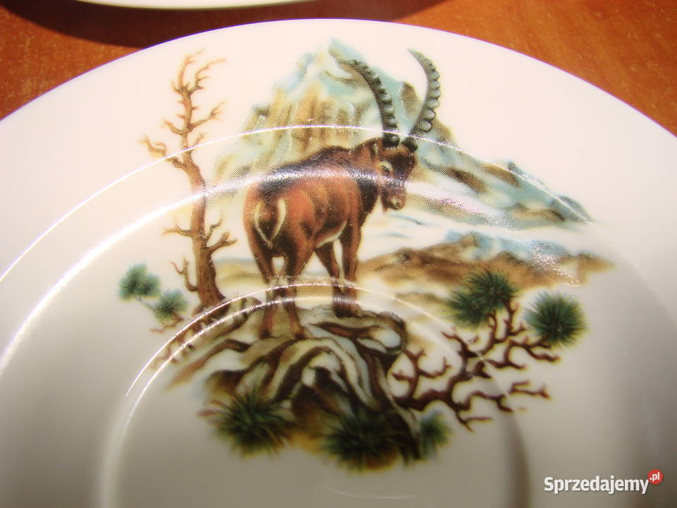 talerzyk z kozicą Pruszcz Gdański